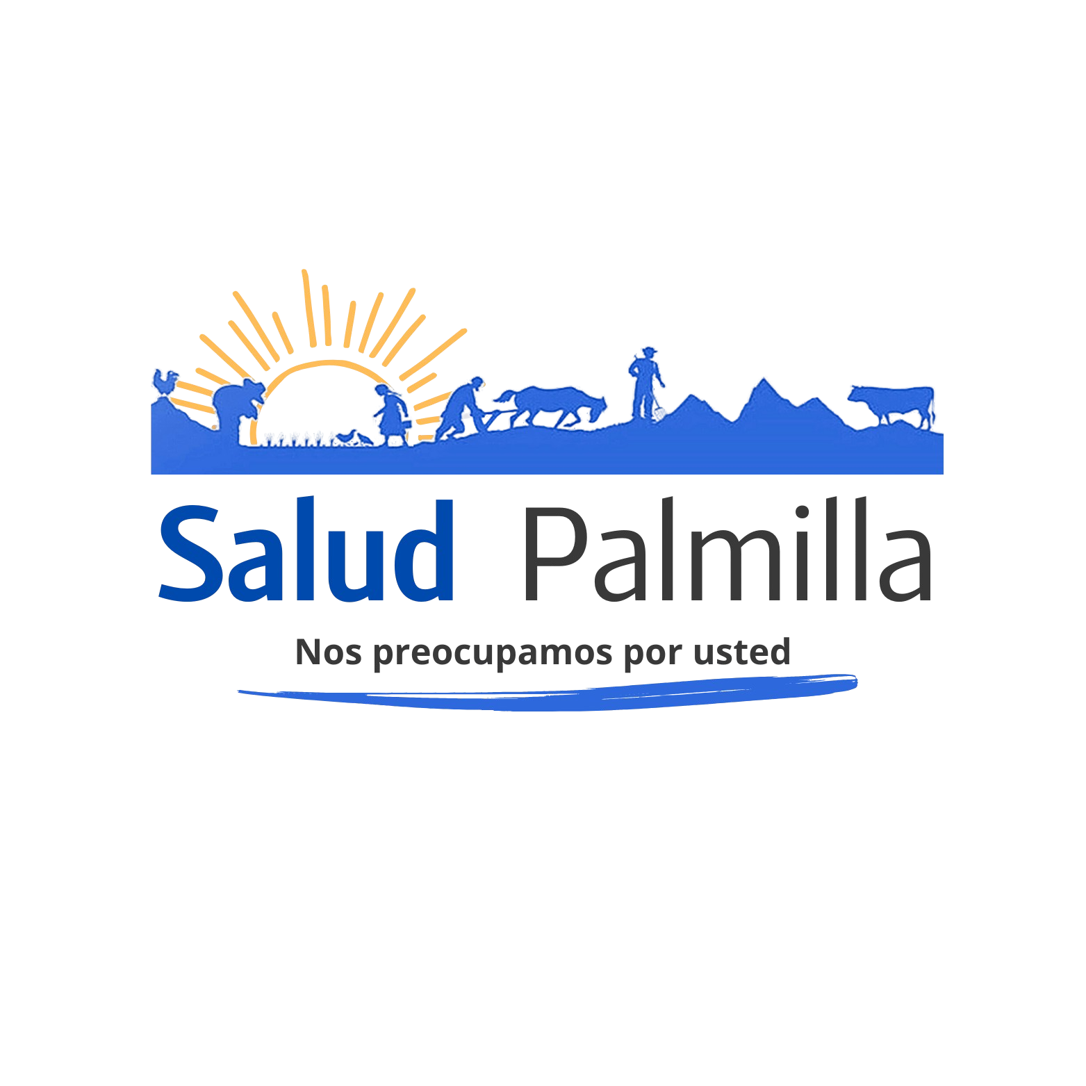 Logo Departamento de Salud Palmilla
